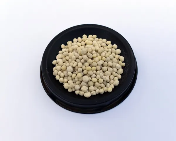 Chọn Phân Bón Cho Cây: NPK, Hữu Cơ, Kích Rễ Dùng Sao Cho Đúng