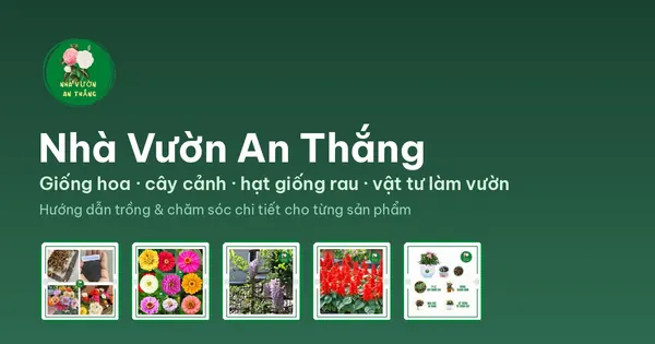 Cách trồng rau cải mèo Tây Bắc từ hạt | An Thắng