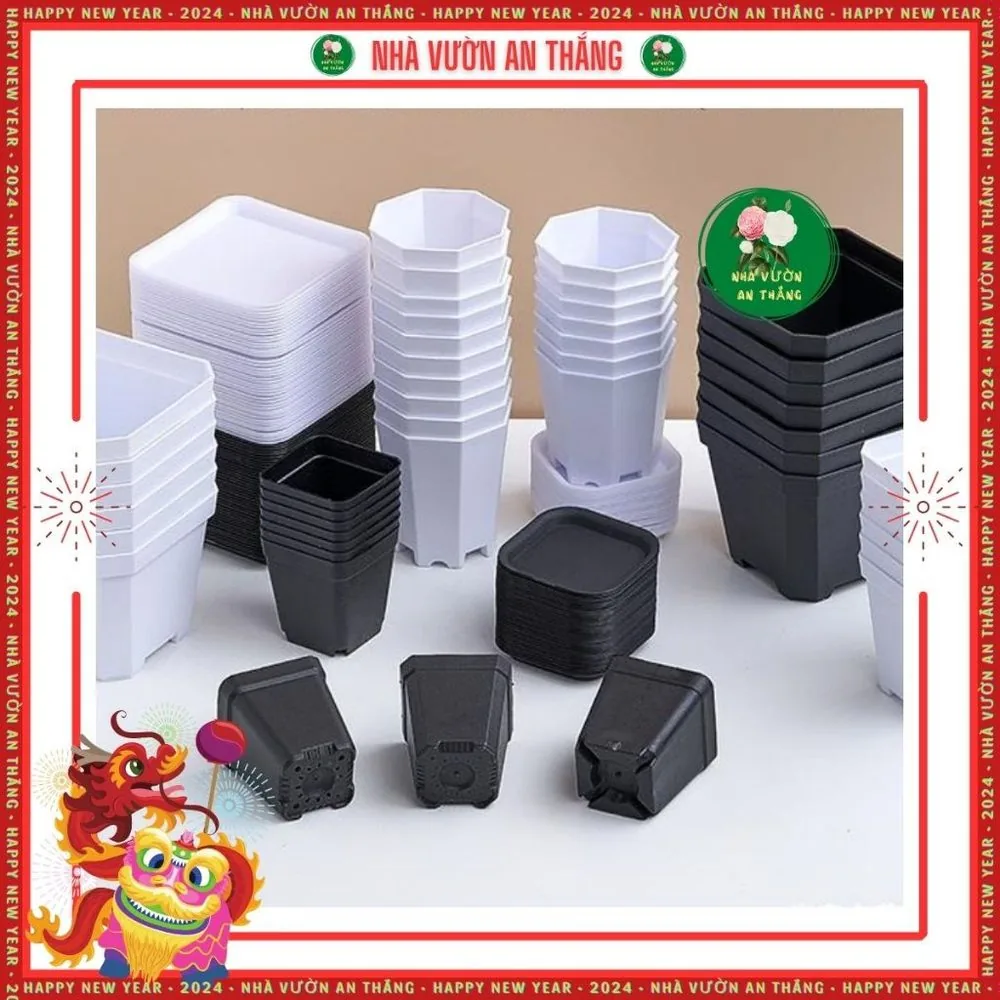 COMBO 5 chậu nhựa vuông ươm hạt