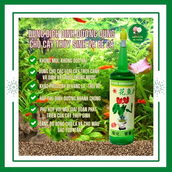 Dung Dịch Dưỡng Cây Cảnh