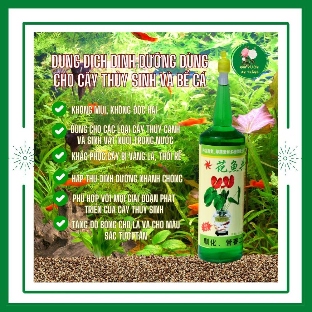Dung Dịch Dưỡng Cây Cảnh