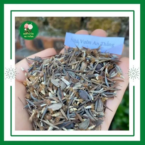 Hạt giống hoa dại hỗn hợp mix nhiều loại trồng trang trí sân