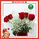 Hoa Baby - ảnh 3