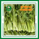 Cải Ngồng - ảnh 6