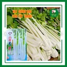 Rau Cần Tây - ảnh 2