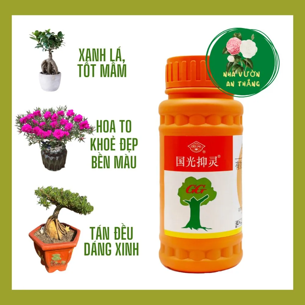 Chất Làm Lùn