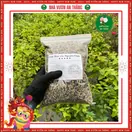 Trấu Hun Cánh - ảnh 3