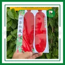 Củ Cải Đỏ - ảnh 3