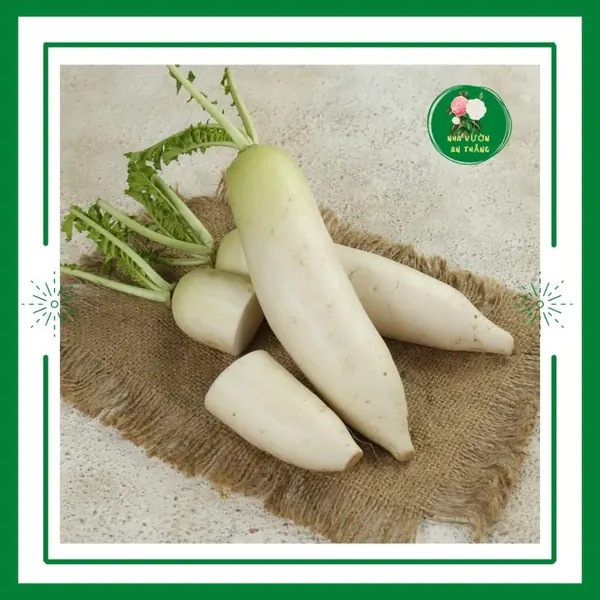 Củ Cải Ruột Đỏ