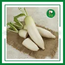 Củ Cải Ruột Đỏ