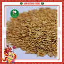 Hoa Cúc Magic - ảnh 3