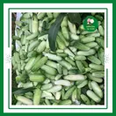 Dưa Chuột - ảnh 5