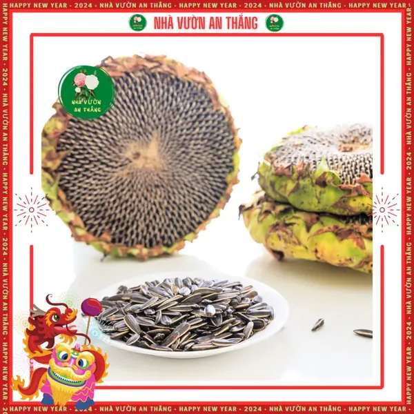 Hoa Hướng Dương Ăn Hạt