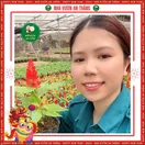 Hoa Mào Gà - ảnh 2
