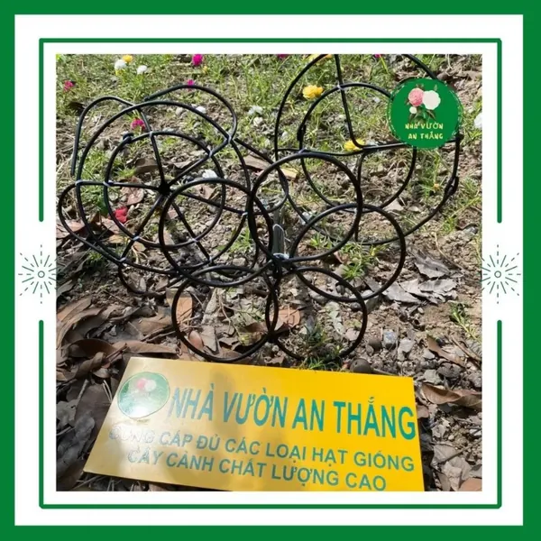 Khung giá đỡ cho hoa mười giờ bon sai bền siêu chắc chắn chố