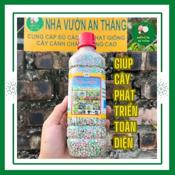 Phân bón tổng hợp NPK cho hoa và cây cảnh luôn xanh đẹp 15:1