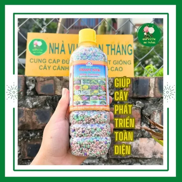 Phân bón tổng hợp NPK cho hoa và cây cảnh luôn xanh đẹp 16:1