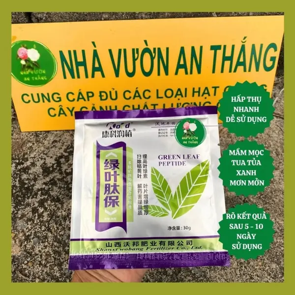 Siêu bật mầm