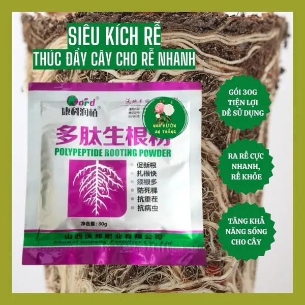 Siêu kích rễ